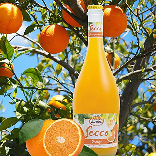 Valensina Secco Orange von Katlenburger halbtrocken 24 x 0,2l trinkfertiger Secco-Orange als Aperitif oder Cocktail – Bild 5
