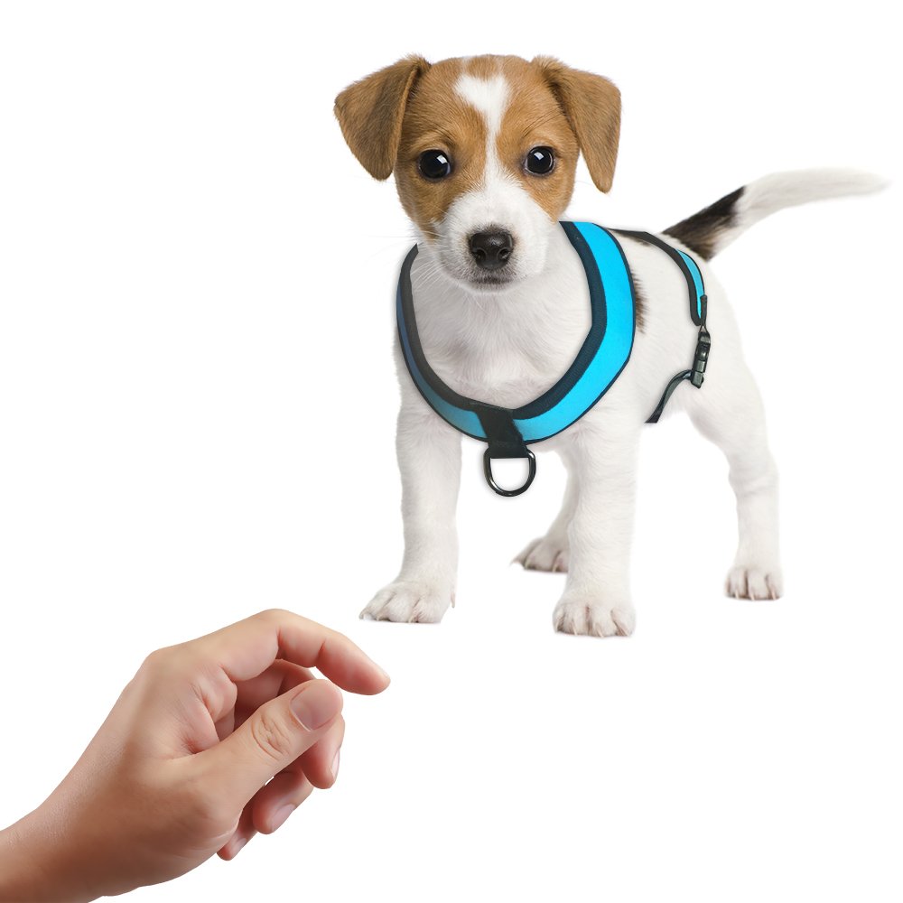 Roadwi Front Range Dog Harness Vest, Adjustable Soft Neoprene Breathable Padded, No-Pull Safety for Walking, Hiking, Training, Running. Neck: 40cm, Chest: 55-75cm (Large, Blue)