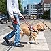 Pawshoppie Real Reflective Service Dog Vest Harness 2 Free Removable Service Dog 2 “Emotional Support” Patches, Woven Polyester & Nylon, Comfy Soft Padding (XS(Girth:18-22''), Red)