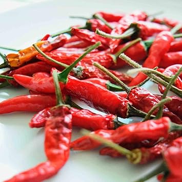 Amazon 韓国とうがらし 野菜苗 9cmポット 3個セット 韓国の辛いトウガラシ 辛味はハバネロのような激辛ではなく 辛さだけでなく独特の味わいのあるとうがらし キムチにはこれです 育て方は普通のとうがらし類に準じます 辛味が強いので小さなお子様の手の届か