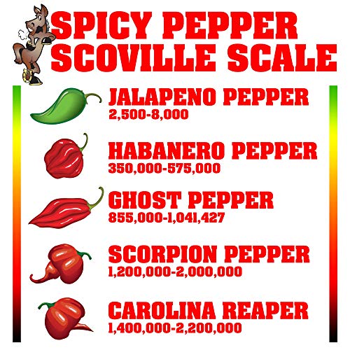 BACK IN NITRO GUMMY BEAR! 9,000,000 SCOVILLE UNITS OF (4X, 44 OFF