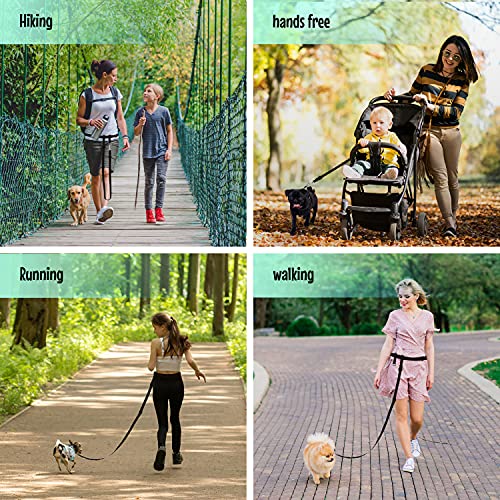 the buddy system leash