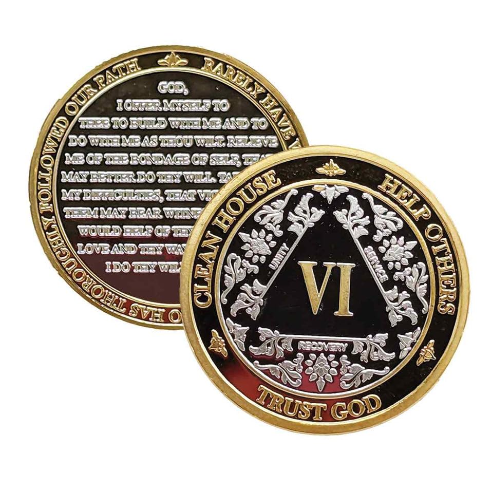 Silver & Gold Alcoholics Anonymous Medallion AA Coin Capsule Included (Years 1-50 Included) (Year 6)