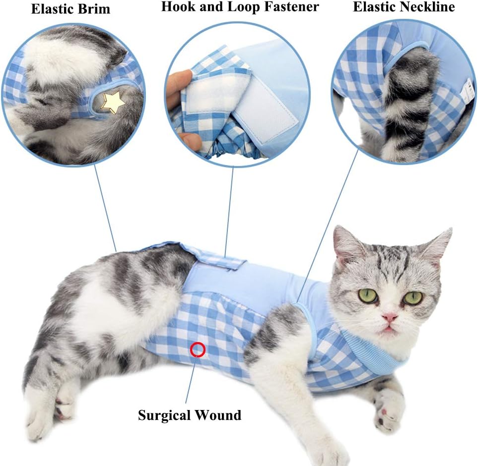 After Surgery Wear Anti Licking Wounds Coppthinktu Cat Recovery Suit