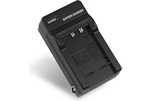 RAINY KING NP-BX1 NPBX1 Battery Charger for Sony Cyber-shot DSC-HX300, DSC-HX50, DSC-HX50V/ B, DSC-HX50VB, DSC-HX60V, DSC-HX90, DSC-HX90V, DSC-RX1, DSC-WX350, DSC-RX100, DSC-RX100 V, DSC-HX80