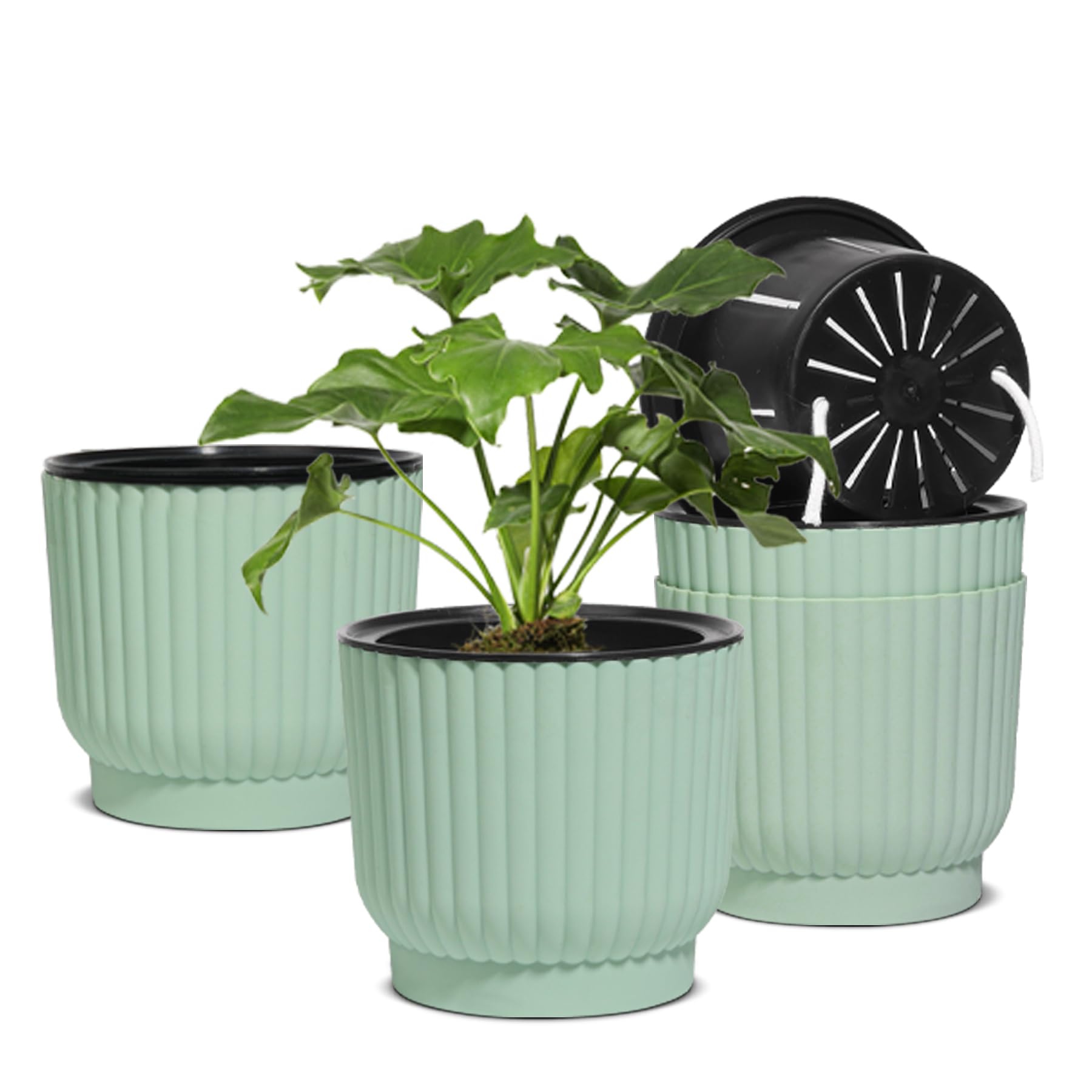 T4U 18cm Self Watering Plant Pots Indoor, 4 Pack Plastic Flower Pots, Green House Plant Pots, Outdoor Plant Pot for Indoor Plants, Succulent, Cactus, African Violets, Spider Plants