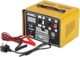Anesty Car Battery Charger 12V/24V 20A Heavy Duty Lead-Acid Battery Charger view 1