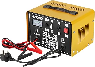 Anesty Car Battery Charger 12V/24V 20A Heavy Duty Lead-Acid Battery Charger