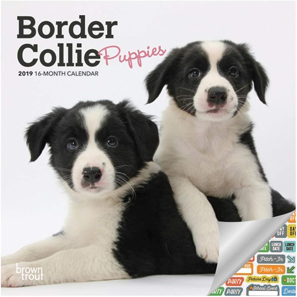 Best 2018 Puppy Desk Calendar