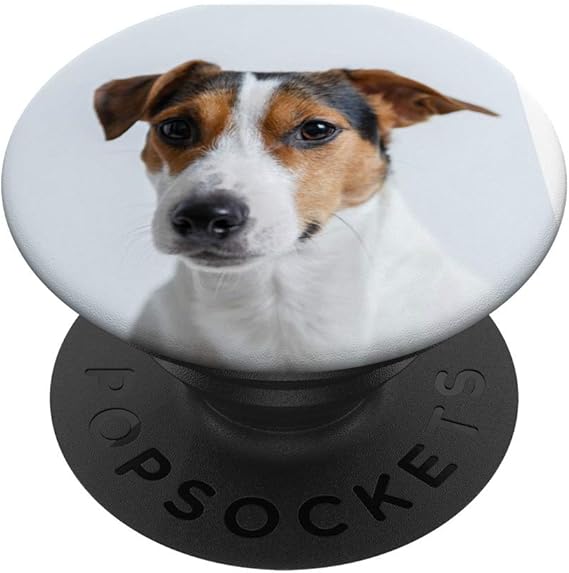 jack russell terrier with kids