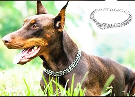 Jyhy Collier Etrangleur De Luxe Pour Chien Chaine En Metal Double Chaine Pour Chien Pour Promener Les Chiens De Petite Moyenne Et Grande Taille 55 Cm Amazon Fr Animalerie