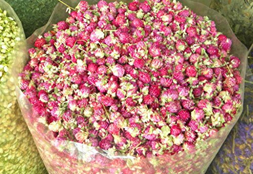 image for TooGet Dried Gomphrena globosa Flower, Natural Globe Amaranth Flower W