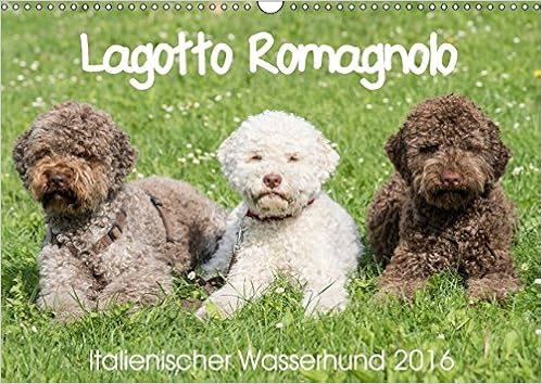 Lagotto Romagnolo Italienischer Wasserhund 2016 Wandkalender 2016 Din A3 Quer Hunde Der Rasse Lagotto Romagnolo Italienischer Wasserhund Geburtstagskalender 14 Seiten Calvendo Tiere Amazon De Lagotto Romagnolo Club Deutschland E V 1 Lrcd E V