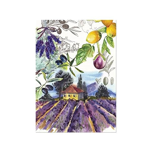 Michel Design Works Cotton Kitchen Dish Towel The Home Kitchen Store