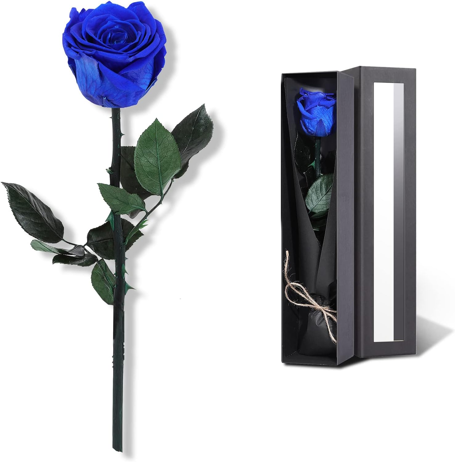 Dried & Preserved Flora - Preserved Rose, Preserved Flowers for Delivery Prime, Single Rose Flower Gifts for Women, Real Rose Gifts for Her, Birthday Gifts, Valentines Flowers for Girlfriend - Blue Rose