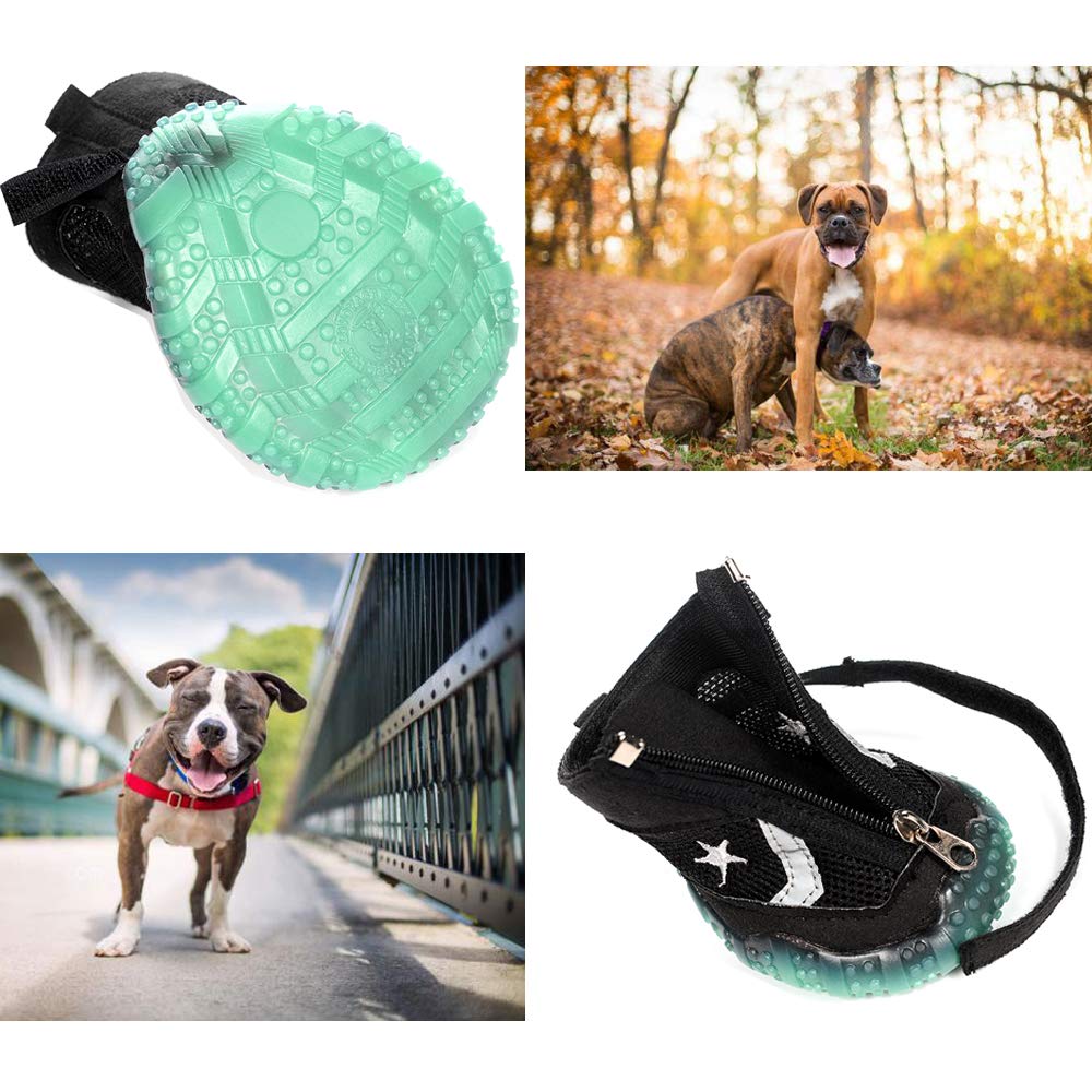 Sforza Hundeschuhe Pfotenschutz Hund, Gemütlich Sole mit Leuchtend bei Dunkelheit, Schwarz M