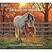 The LANG Companies Horses in The Mist 2019 Wall Calendar (19991001917)
