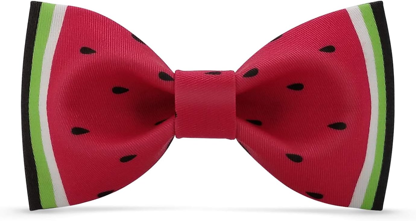 Where To Buy Funny Bow Ties at Agnes Dennis blog