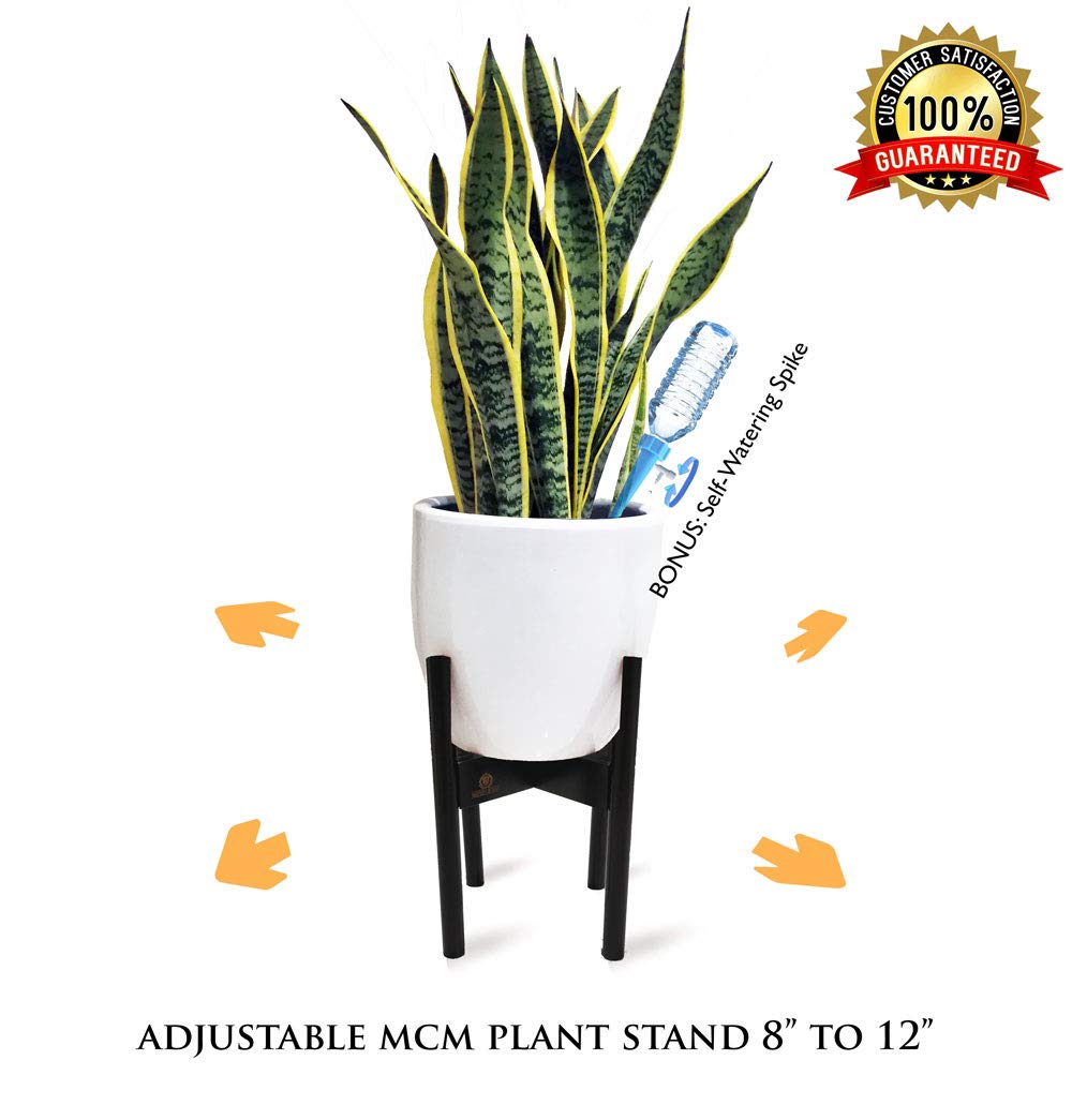 Best divano couch roma furniture