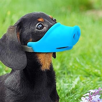 Binwwe Breathable Cute Silikon Maulkorb mit Sicherheitsriemen für Kleine, Mittlere Hunde, Verhindert Beißen, Bellen und Kauen