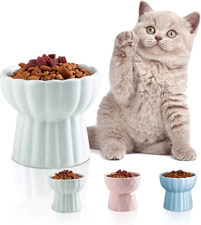 cat dishes amazon