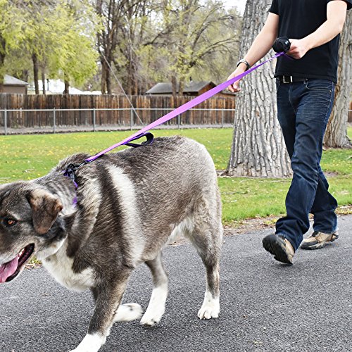Pooper Scoopers & Bags Waggin Tails Dog Waste Bag Dispenser Bags