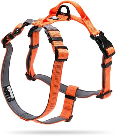 true love harness amazon