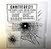 Shattered!! Realistic Set of 8 Reusable Broken Screen Prank Decals. These use a Static Cling Bond to Attach (No Glue or Adhesive Used)