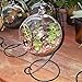 RONSHIN Creative Clear Glass Ball Vase Micro Landscape Air Plant Terrarium Succulent Hanging Flowerpot Containerthumb 4