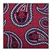 Cufflinks Inc. Star Wars Darth Vader Red Paisley Italian Silk Tie