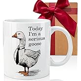 CATABUBU I'm a Serious Funny Goose Mug Gift for Nurse Women Goose Lover Friends, Nurse Gifts for Women Nurses Practitioner RN LPN, Birthday Gifts for Nurses