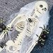 16'' Posable Halloween Skeleton, Aitbay Halloween Decorations Full Body Skeletons Props for Halloween Party Graveyard Haunted House Decoration 2 Pack