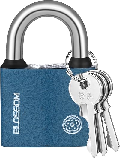 RosewineC Heavy Duty Padlock 50mm Iron Lock with 3 Keys Weatherproof Outdoor
