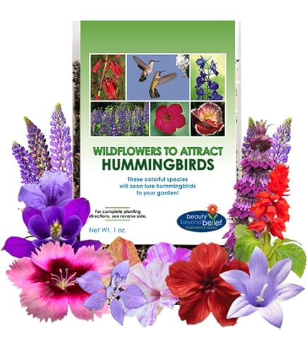 Amazon.com : Generic 100pcs Mandevilla Flower Seeds Multi-Colored : Patio,  Lawn & Garden