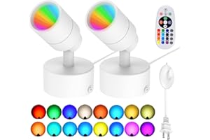 iCreating LED Spot Lights Indoor - RGBW Uplighting Indoor Color Changing with Remote for Plants 12W Small tree Spotlight Mini Stage Lights Floor Light Plug in Uplights for Christmas Halloween (2 Pack)