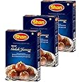 Shan Special Gulab Jaman Traditional Dessert Mix 3.53 oz (100g) - Powder for Sweet Dumpling with Sugar Syrup - Suitable for Vegetarians - Airtight Bag in a Box (Pack of 3)