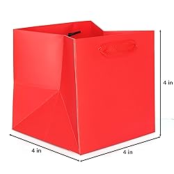 IN-JOOYAA Red Square Gift Bags Small Paper Bags