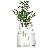 VanEnjoy 7 inch Clear Simple Glass Flower Vase, Decorative Gilded Rim Vase Home Decor for Indoor Centerpiece