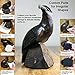 Dura Shield Heavy Duty Self-Adhesive Felt Furniture Pads, Black – Large 250-Piece Variety Pack for Best Floor Protection Value – Risk Free Satisfaction Guarantee!