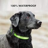 MASBRILL Light Up Dog Collar LED USB Rechargeable Green S view 5