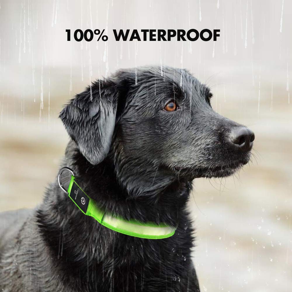 View 5