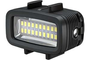 LIANQIAN Waterproof Video Light Underwater Lights Dive Light for Gopro/AKASO Action Cameras and Canon/Nikon SLR Cameras Sea forgs Underwater Housing (SL-100)