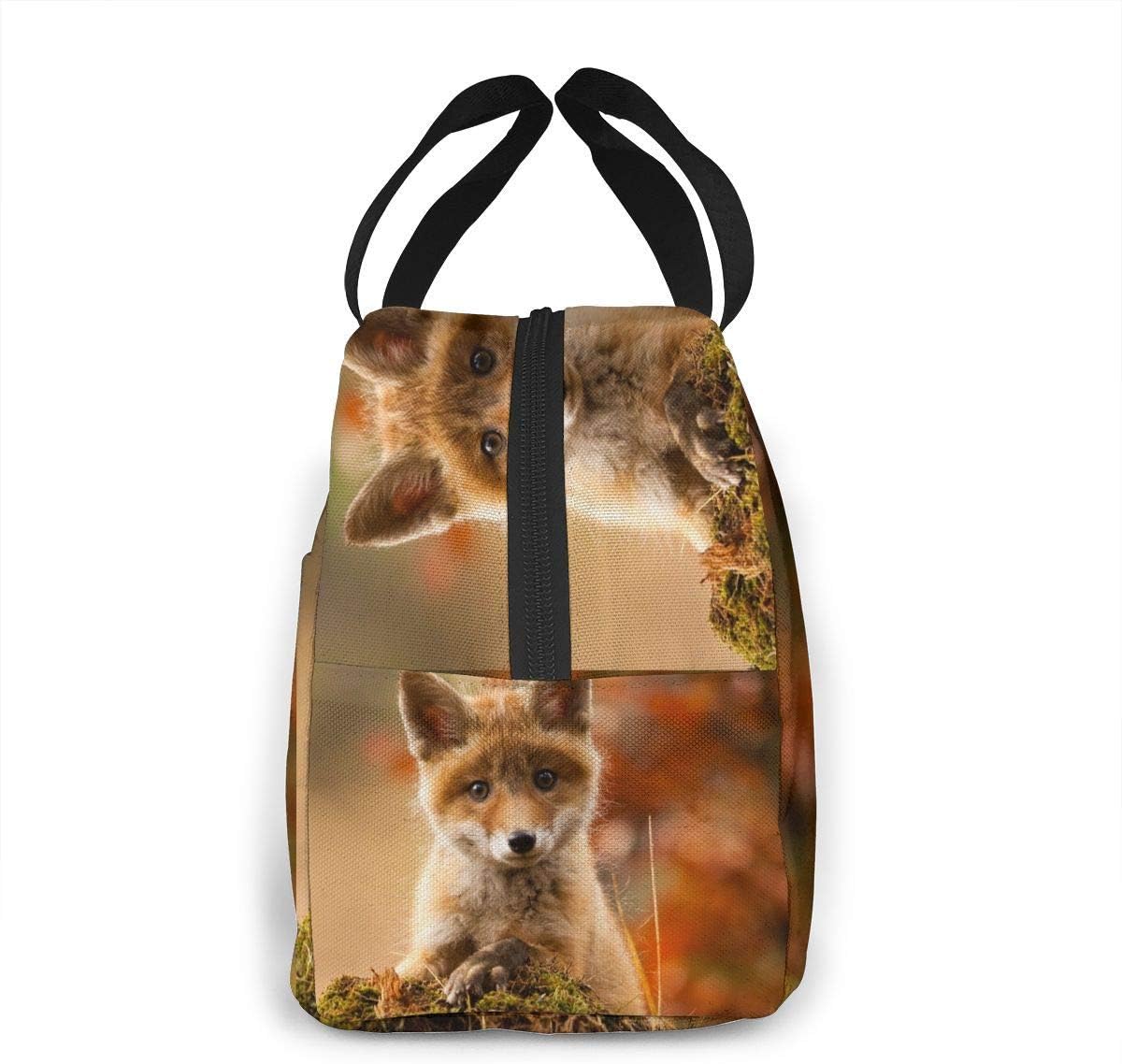 Mignon Bebe Renard Boite A Lunch Sac De Repas Isole Sac A Lunch Reutilisable Sac A Collation Conteneur Alimentaire Travail Scolaire Voyage Pique Nique Rangement Et Organisation Cuisine Et Maison Nertili Al