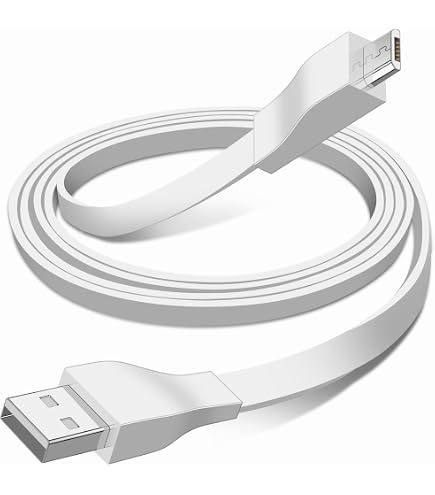 Amazon.com: BCWJ NETS Boom 3 AC Wall Charge USB Cable Cord for UE