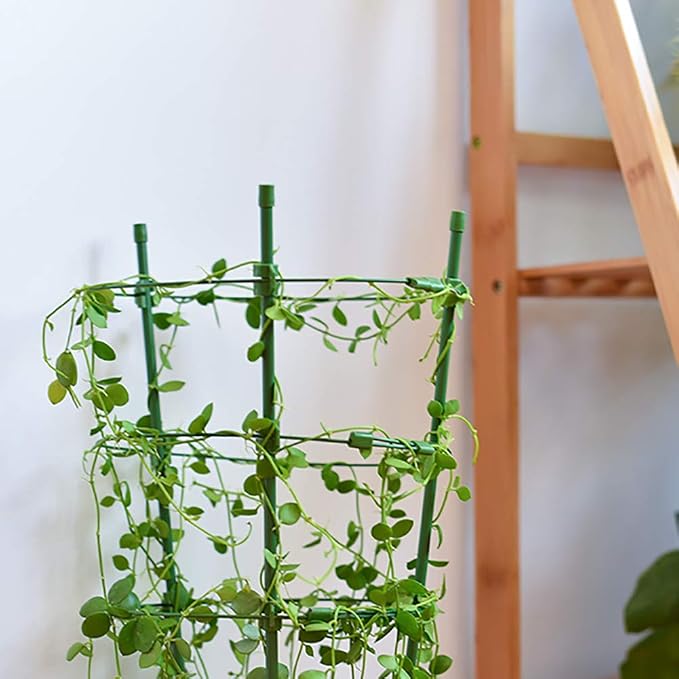 STSERI Jaulas de Soporte de Plantas Jaulas de Plantas con 3 ...