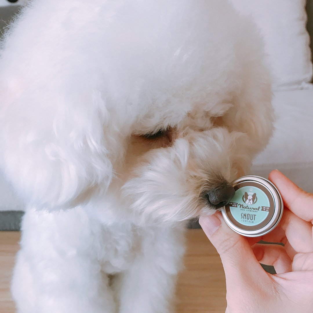 Snout Soother Travel Size Natural Dog Company Dry Chapped Cracked