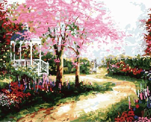 Colour Talk Diy oil painting, paint by number kits- Dream trails 16 * 20 inches.