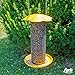 Lyric Finch - Small Songbird Wild Bird Seed - Attracts Goldfinches, House Finches, Purple Finches & More - 20 lb. bag
