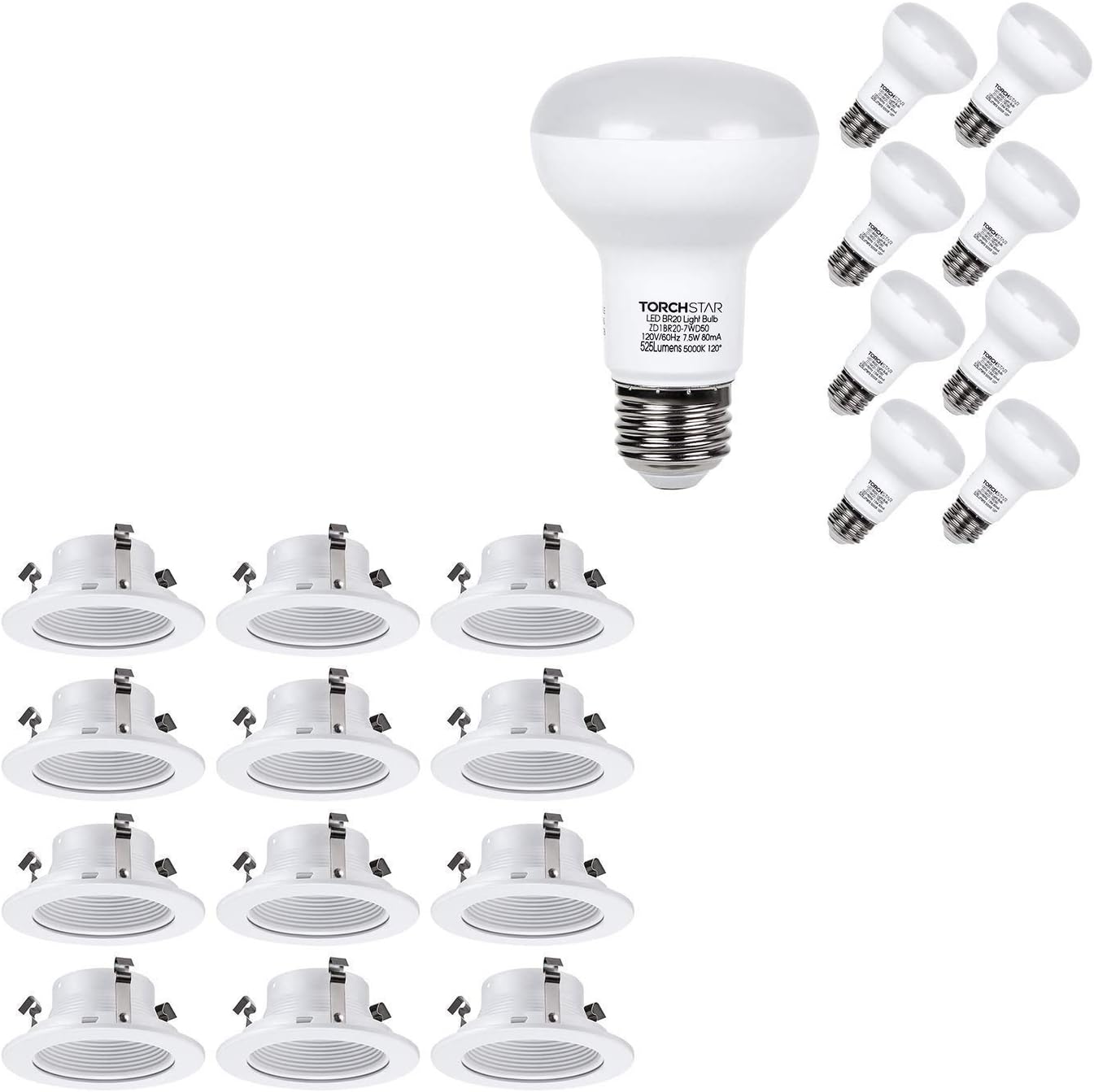 BR20 LED Flood Light Bulb 