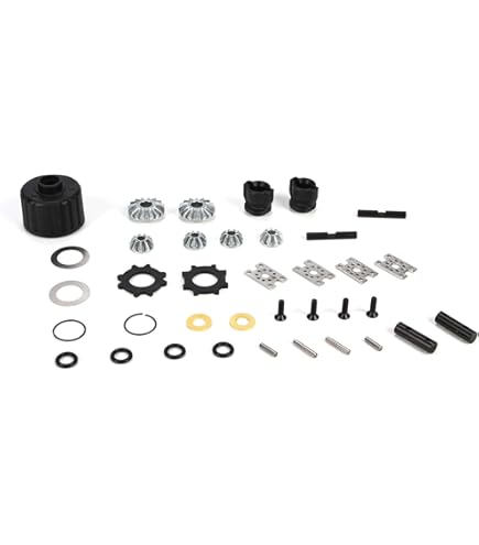 Amazon.com: TEAM LOSI RACING Front/Rear Diff Complete Metal 22X-4